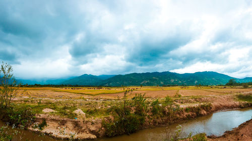 Scenic view of landscape against sky