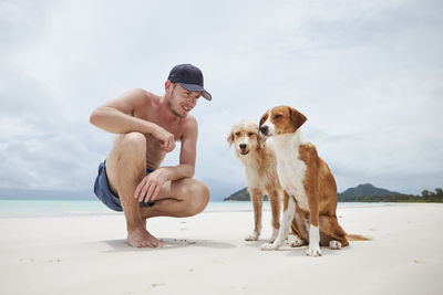 View of dogs on beach against sky