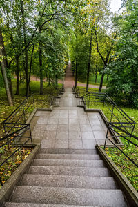 Footpath amidst trees in forest