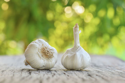 Close-up of white garlic on table