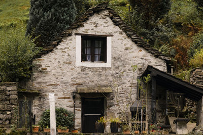 Exterior of house with plants