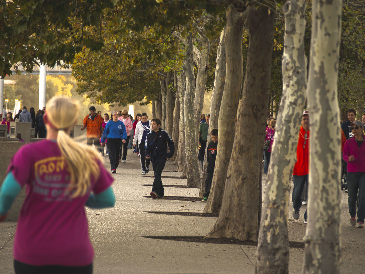 person, men, large group of people, lifestyles, walking, tree, street, leisure activity, rear view, casual clothing, medium group of people, mixed age range, city life, road, full length, outdoors, togetherness, day, group of people