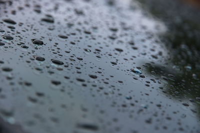 Full frame shot of wet surface