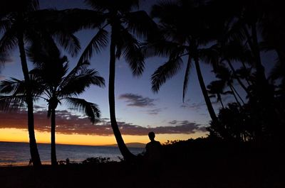 Silhouette palm trees on beach against sky during sunset