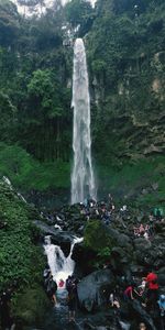 Scenic view of waterfall in forest