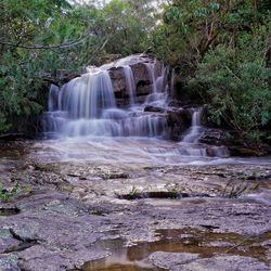 Scenic view of waterfall in forest