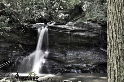 View of waterfall in forest