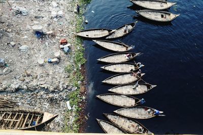 High angle view of fish in river