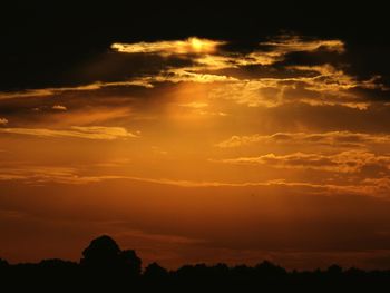 Silhouette trees against sky during sunset