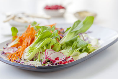 Close-up of meal served in plate