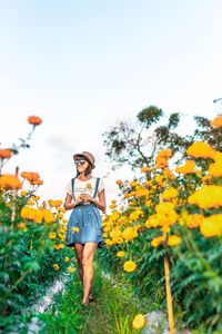 Full length of woman walking amidst flowering plants on field