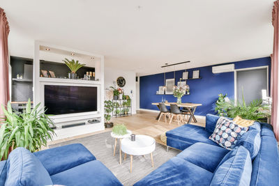 Potted plants on sofa at home