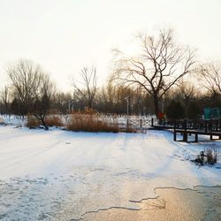 Snow covered field against sky