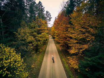 Man skateboarding on road in forest