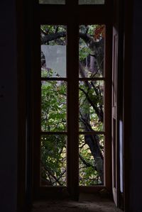 Close-up of window