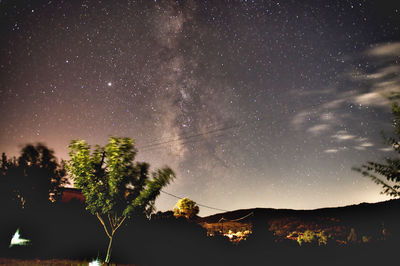 Low angle view of silhouette trees against sky at night