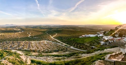 High angle view of agricultural field against sky