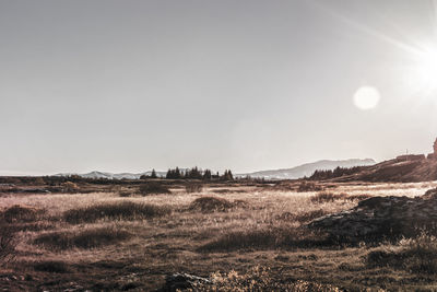 Scenic view of field against sky