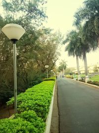 Road by trees against sky