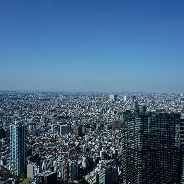 cityscape, city, building exterior, architecture, crowded, built structure, clear sky, skyscraper, copy space, high angle view, aerial view, blue, modern, tall - high, tower, office building, city life, residential district, capital cities, no people