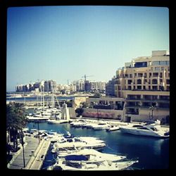 Boats in harbor with buildings in background