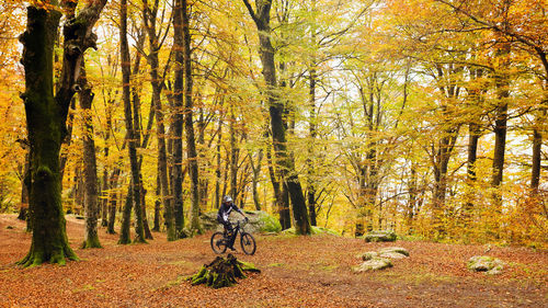Man riding bicycle at forest during autumn