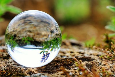 Close-up of bubbles