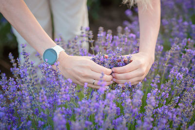 Midsection of woman holding flowers