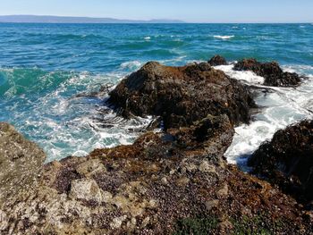 Scenic view of rocks on beach