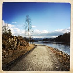 Empty road along trees