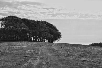 Trees on field against sky