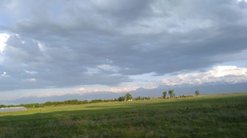 Scenic view of field against sky