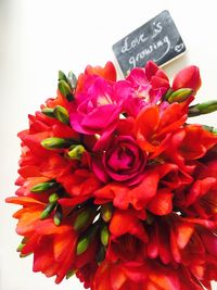 Close-up of red rose bouquet