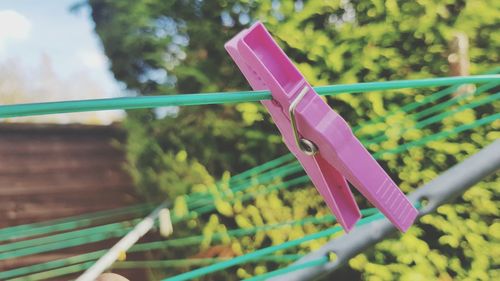 Close-up of clothespins on clothesline