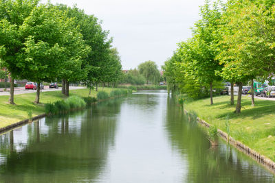 Scenic view of lake in park against sky