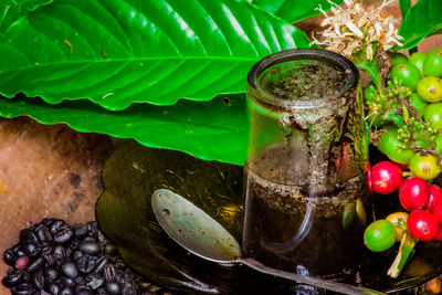 Close-up of drink on glass