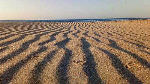 Shadow of sand on beach against clear sky