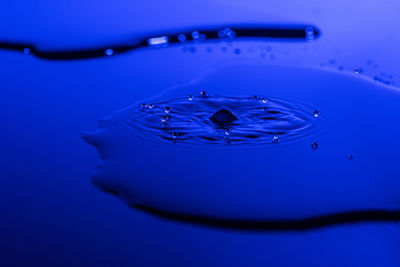 Close-up of water drops against blue background