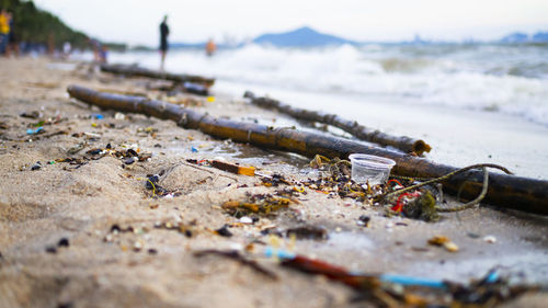 Close-up of garbage on beach