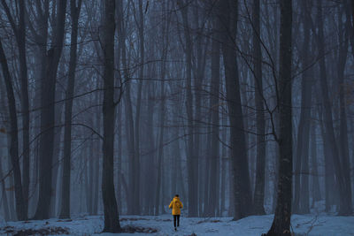 Rear view of man walking amidst trees in forest during winter