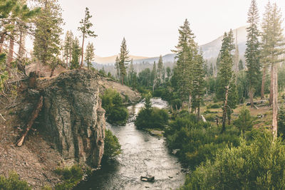 Narrow stream along trees on landscape