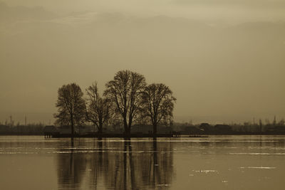 Reflection of trees in lake