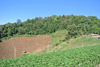 High angle view of field against clear sky