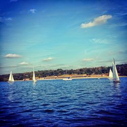 Sailboat sailing in sea