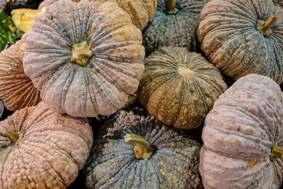 Full frame shot of pumpkins