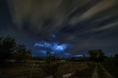 Low angle view of trees on field against sky at night