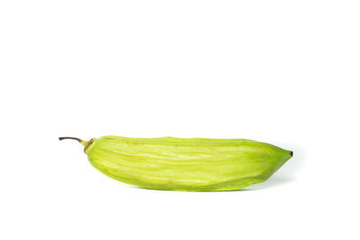 Close-up of green leaf against white background