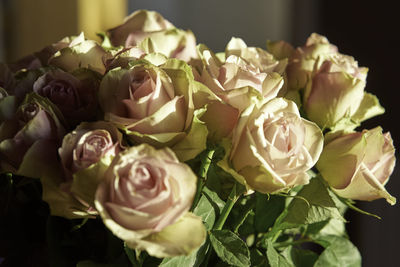 Close-up of rose bouquet