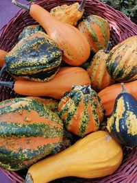 High angle view of pumpkins for sale at market stall