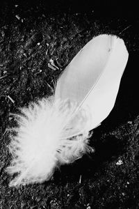 Close-up of white background